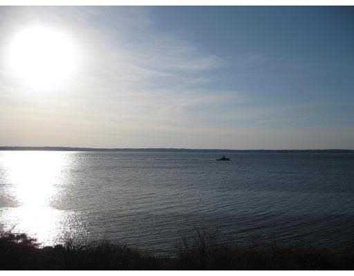 Late light on the bay, looking out from the shoreline